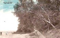 Postcard #43  Path to the Lake, Lake Bluff, IL